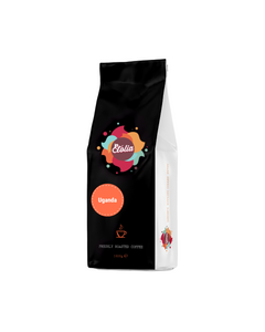 Etolia Uganda Bugisu AA 1kg cafea proaspat prajita boabe, Uganda bugisu, cafea specialitate, cafea origine, cafea specialitate boabe, cafea boabe origine, cafea uganda, cafea proaspat prajita, cafea proaspat prajita boabe, cafea origine boabe, cafea boabe