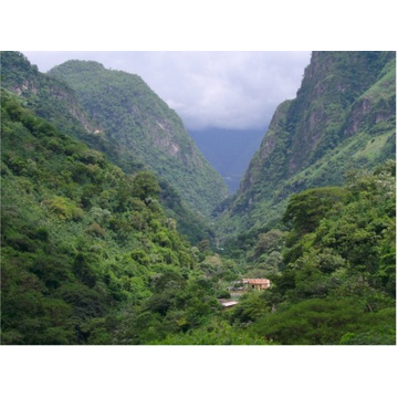 Papa Jacques Guatemala El Coyegual 250gr cafea proaspat prajita boabe