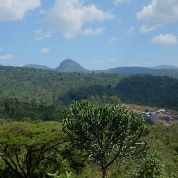 Papa Jacques Ethiopia Kochere 250gr cafea boabe proaspat prajita