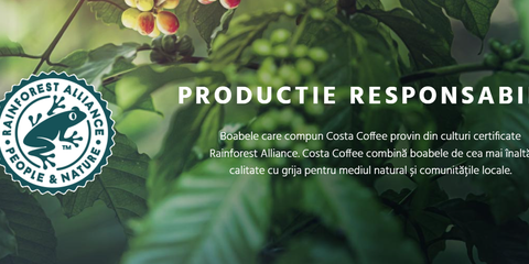 costa caffe crema blend